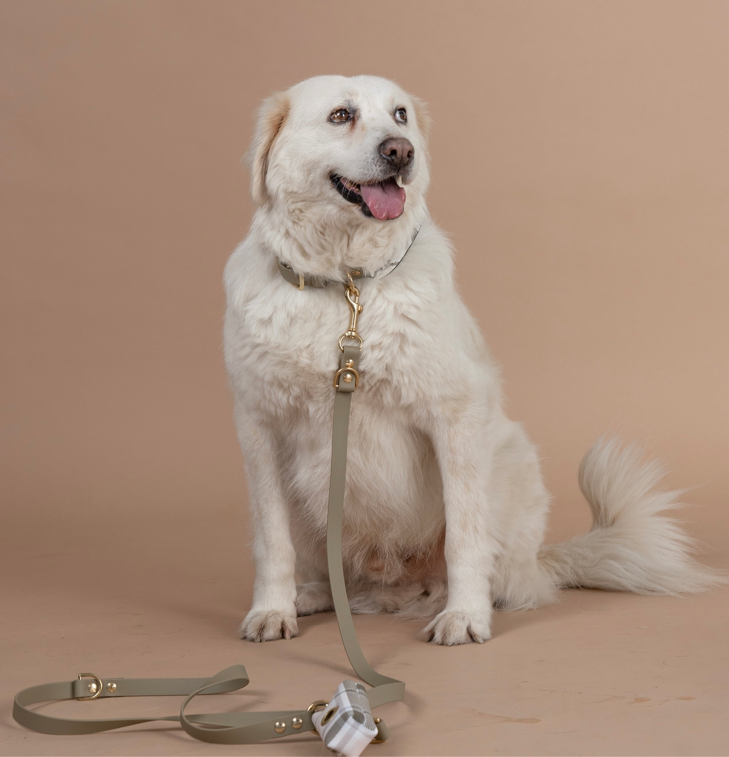 Halsband grössenverstellbar Beige mit Tuch