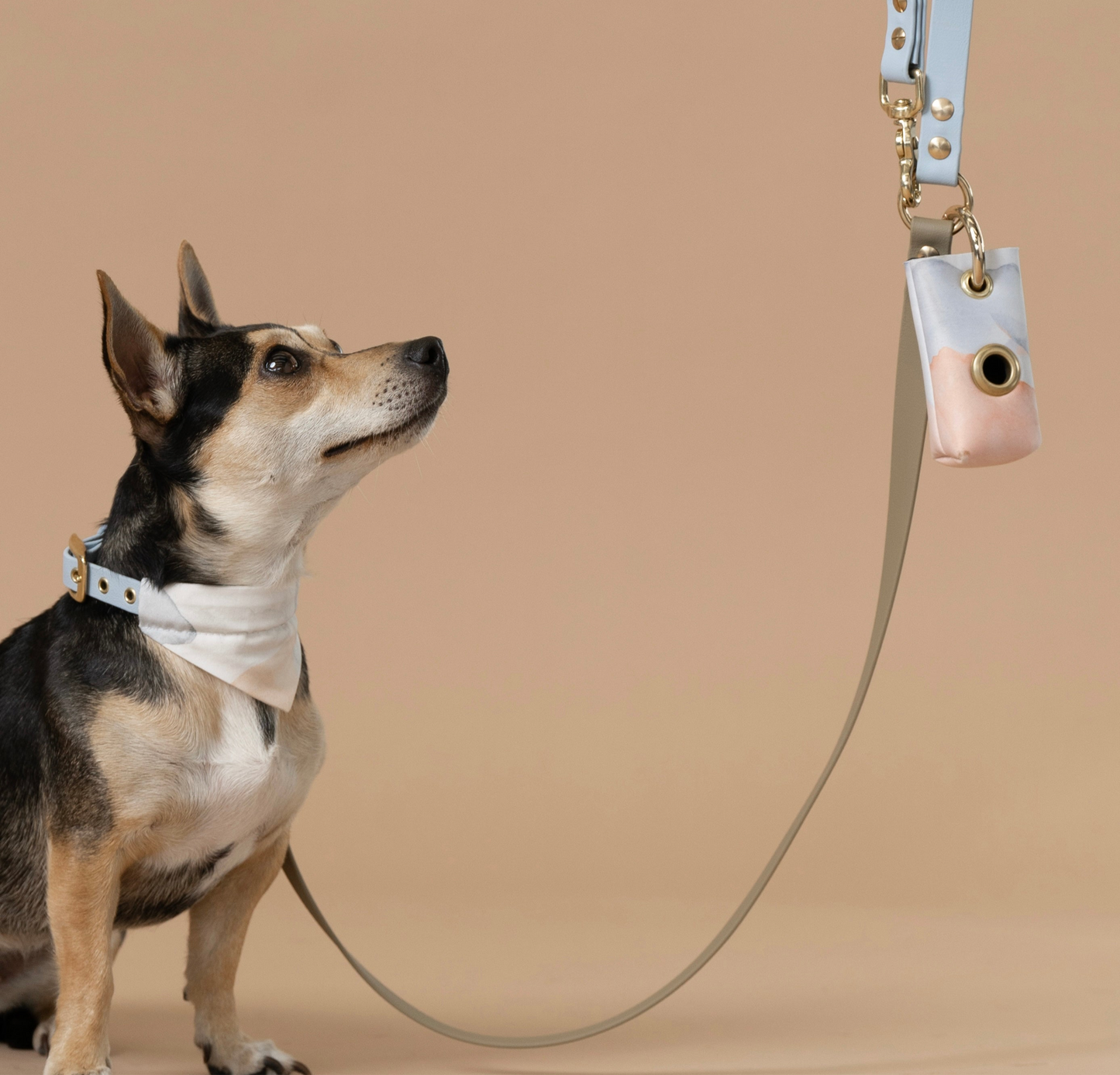 "Poop Bag" Spender Apricot/Blau