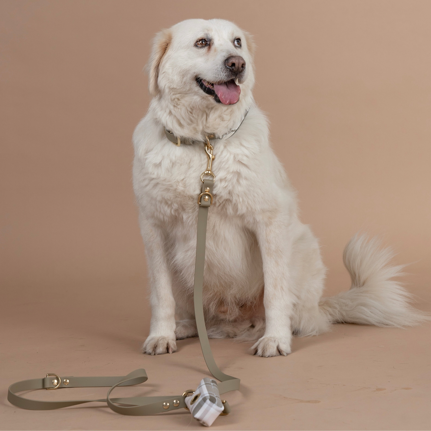 Halsband grössenverstellbar Khaki mit Tuch