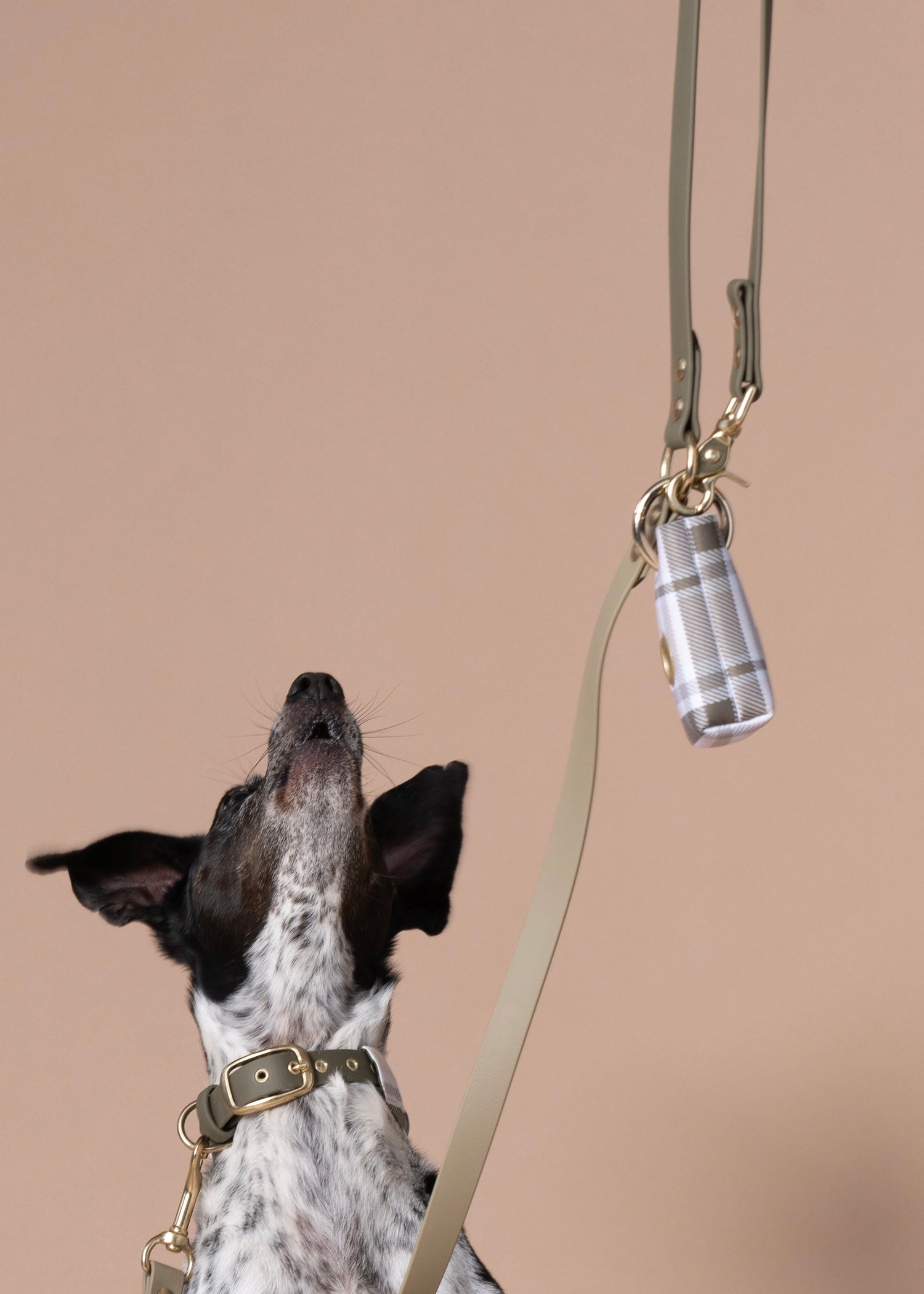 'POOP BAG' SPENDER