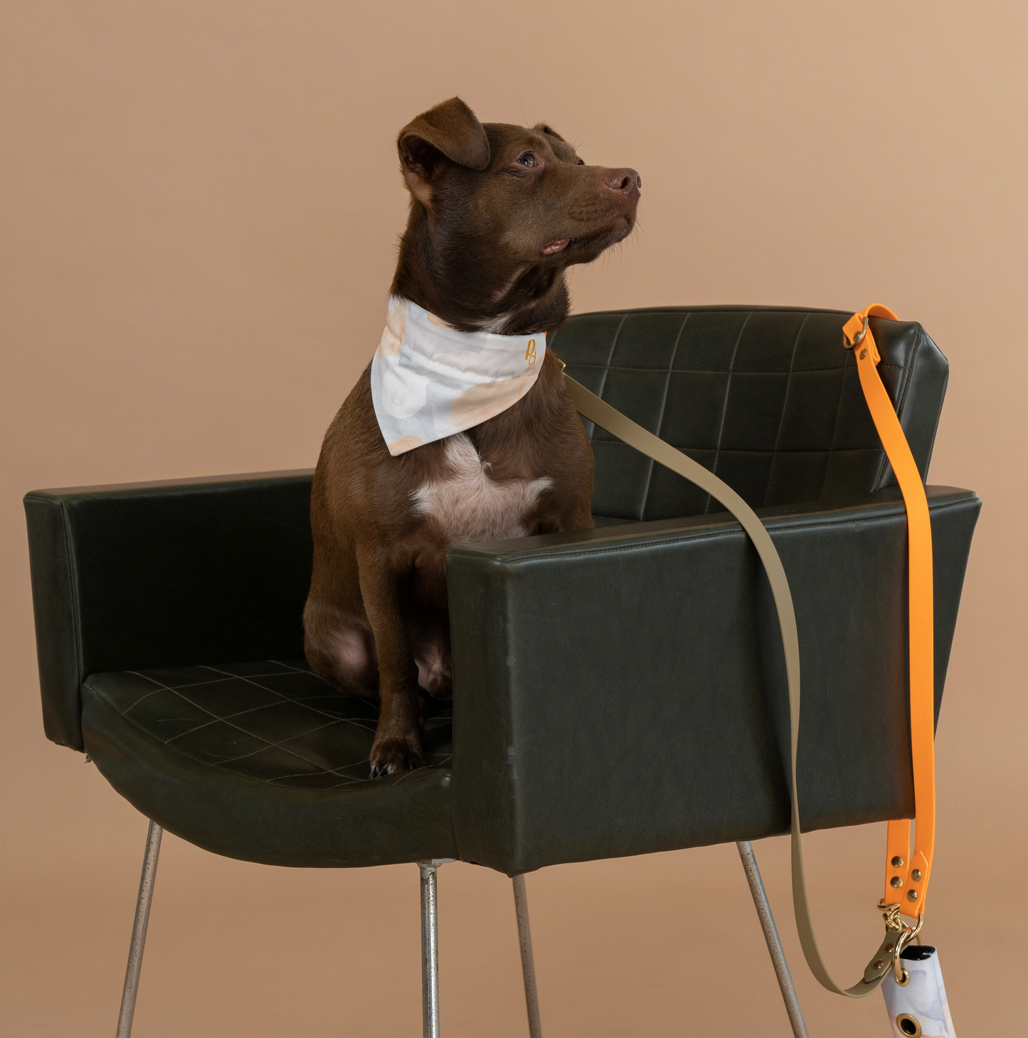 Leine Biothane / grössenverstellbar Beige/Orange