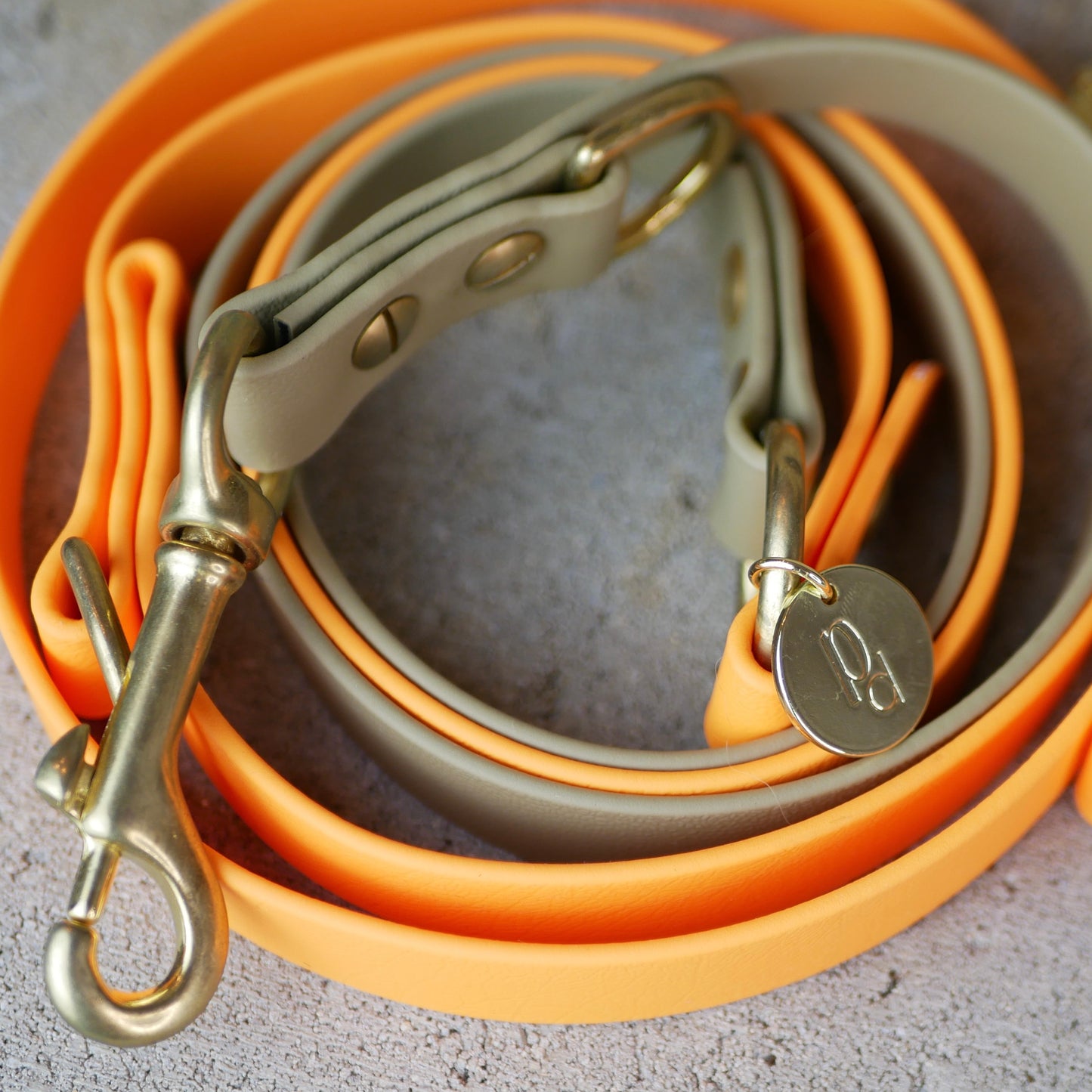Leine Biothane / grössenverstellbar Beige/Orange