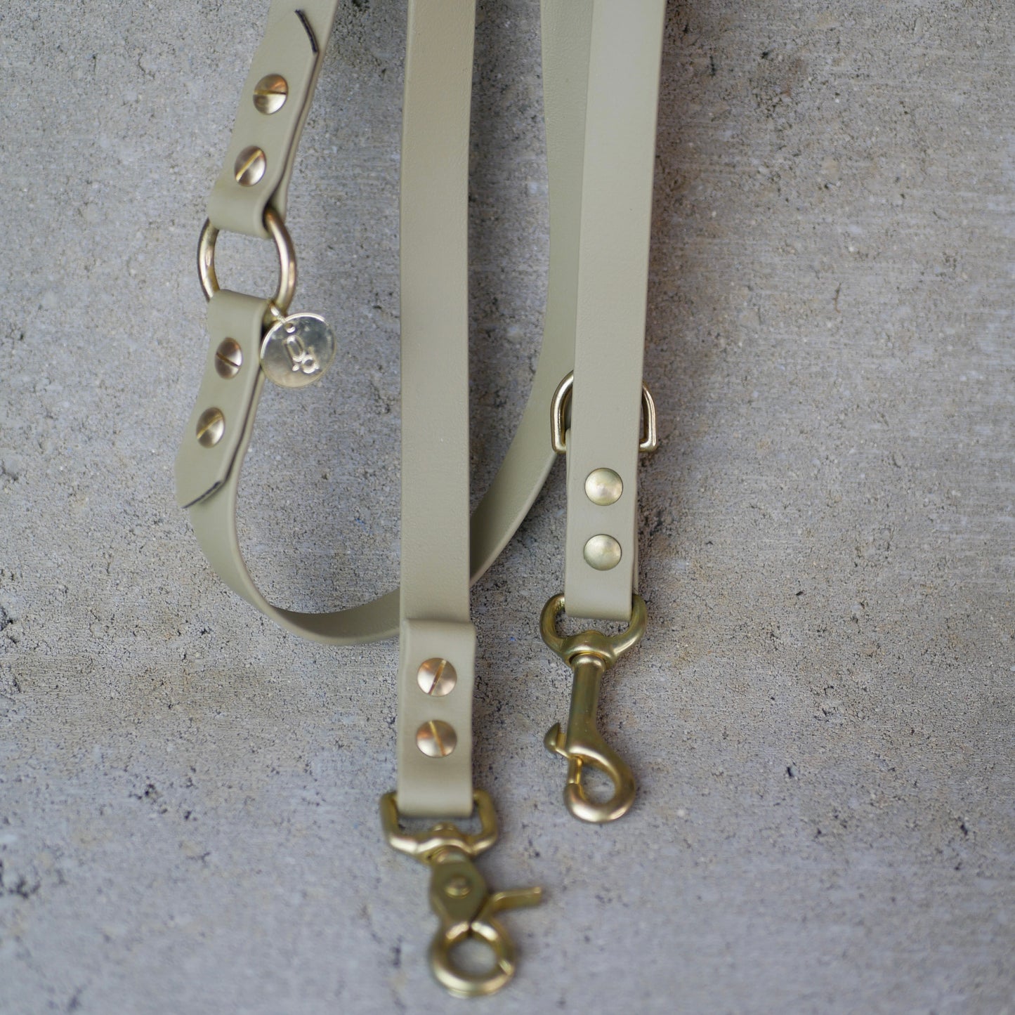 Leine Biothane / grössenverstellbar Beige