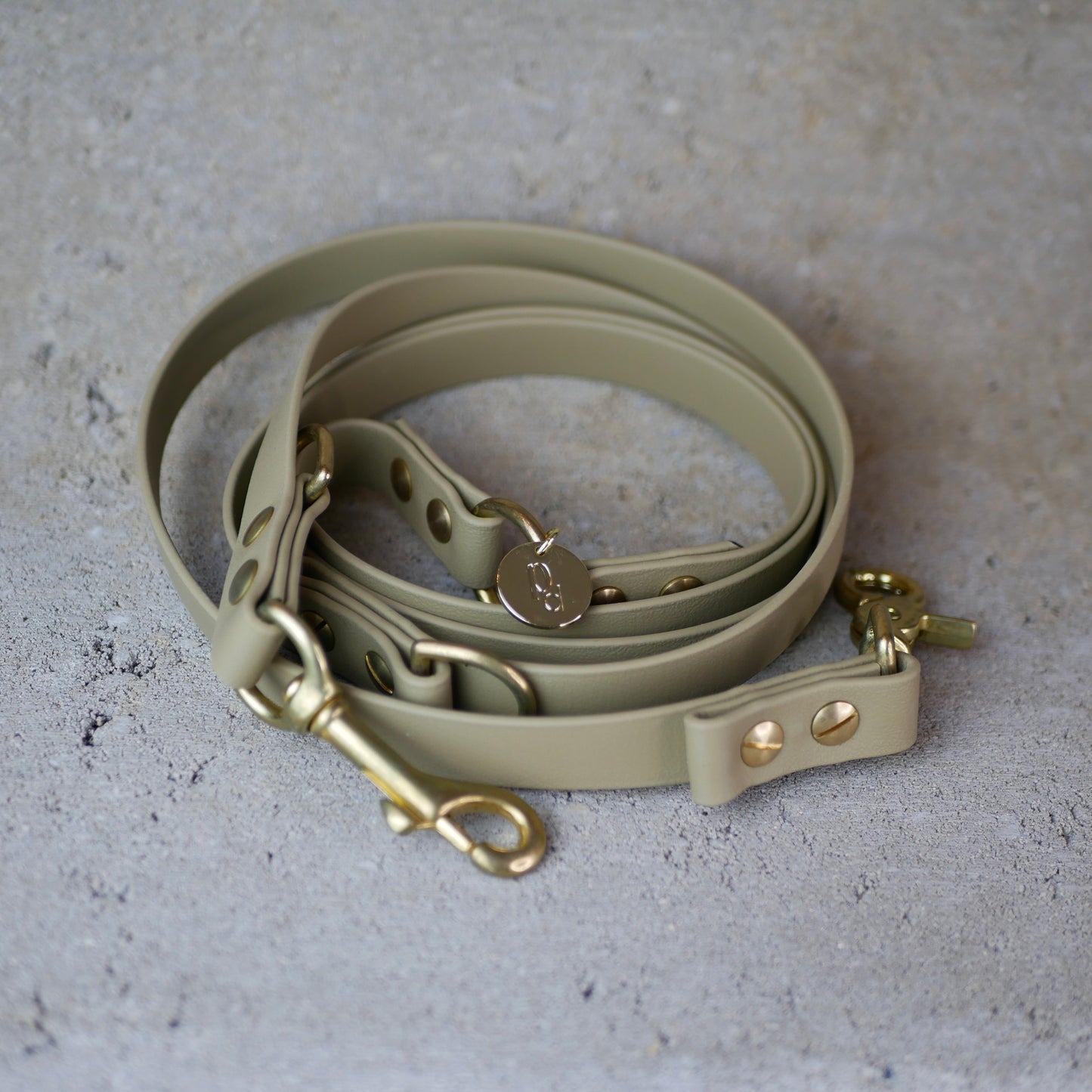Leine Biothane / grössenverstellbar Beige