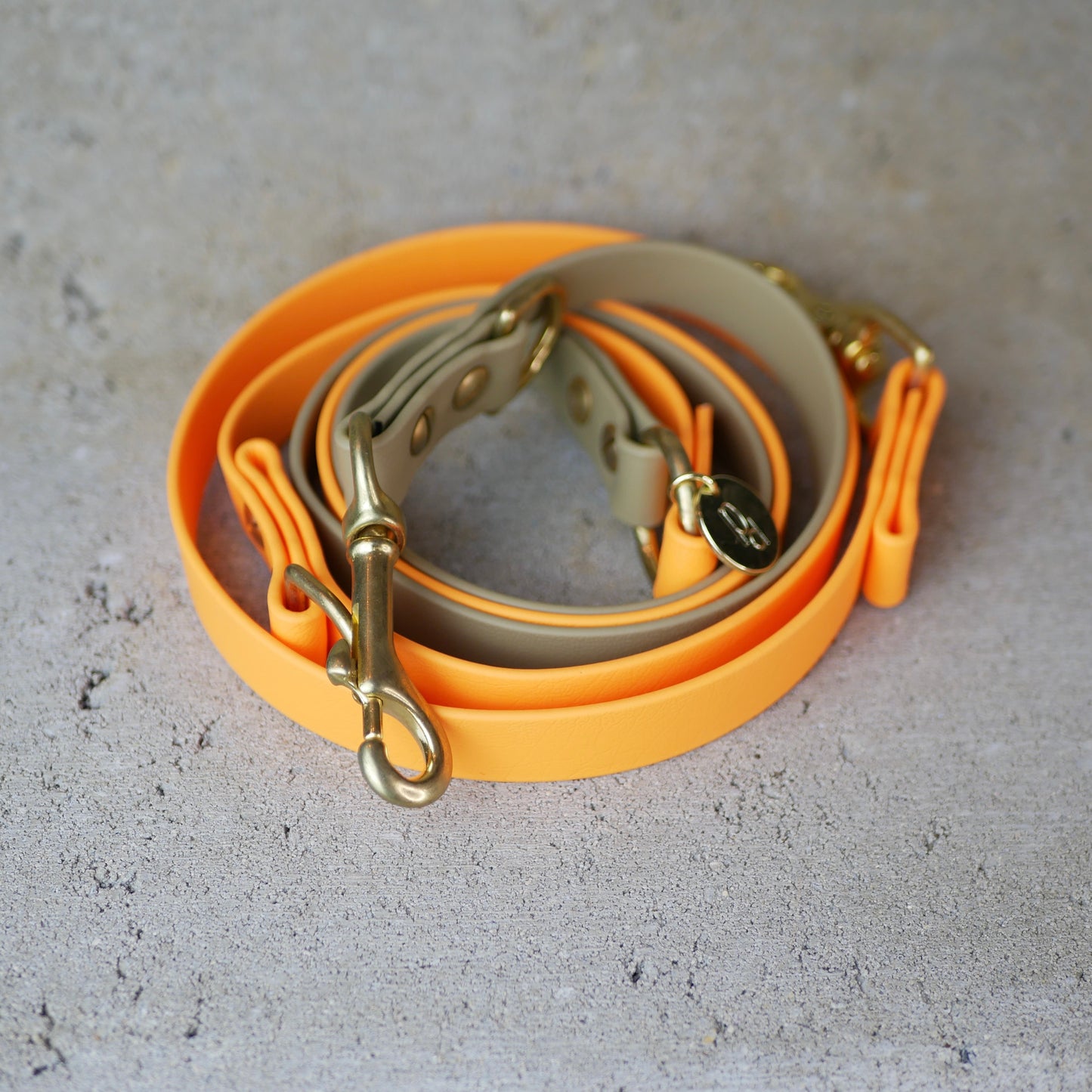 Leine Biothane / grössenverstellbar Beige/Orange