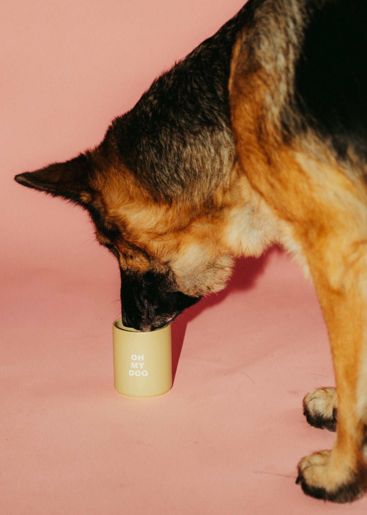 ‘OH MY DOG‘ CUP