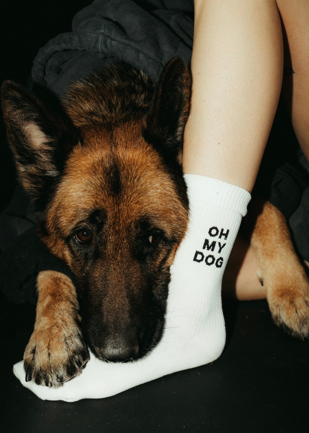 ‘OH MY DOG‘ SOCKS
